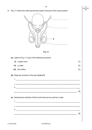 4
3

For
Examiner's
Use

Fig. 3.1 shows the male reproductive system and part of the urinary system.

................................

................................

X
................................

Fig. 3.1
(a) Label on Fig. 3.1 each of the following structures.
(i) a sperm duct

[1]

(ii) a ureter

[1]

(iii) the urethra

[1]

(b) State two functions of the part labelled X.
1

2
[2]

(c) Describe two methods of birth control that can be used by a male.
1

2
[2]

© UCLES 2006

0610/02/M/J/06

 
