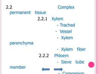 2.2                     Complex
  permanent tissue
              2.2.1 Xylem
                       - Trached
                      - Vessel
                       - Xylem
  parenchyma
                       - Xylem fiber
               2.2.2 Phloem
                       - Sieve tube
  member
 