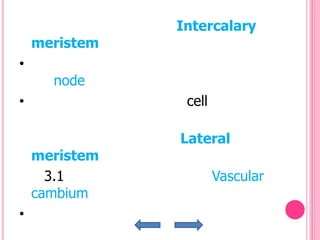 Intercalary
    meristem
•
      node
•               cell

               Lateral
    meristem
      3.1              Vascular
    cambium
•
 
