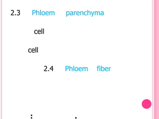 2.3    Phloem      parenchyma

          cell

      cell

             2.4   Phloem   fiber




      :              .
 