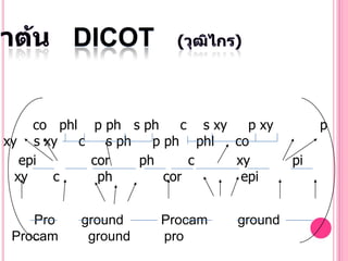 DICOT


     co phl p ph s ph      c s xy   p xy        p
xy s xy    c   s ph   p ph phl    co
   epi       cor    ph      c     xy       pi
  xy    c     ph        cor        epi


    Pro    ground      Procam     ground
 Procam     ground     pro
 
