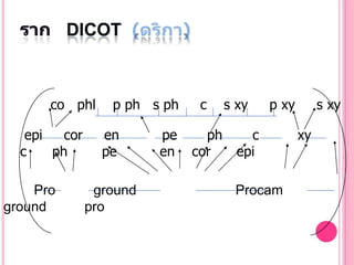 DICOT



      co phl      p ph s ph    c     s xy    p xy        s xy

   epi   cor     en      pe     ph       c          xy
  c    ph        pe      en   cor      epi

    Pro         ground                Procam
ground         pro
 
