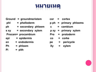 Ground = groundmeristem     cor    =    cortex
phl    = phelloderm         p ph   =    primary phloems
ph     = secondary phloem   c      =    cambium
s xy   = secondary xylem    p xy   =    primary xylem
Procam= procambium          Pro    =    protoderm
epi   = epidermis           co      =    corke
en    = endodermis          pe      =     pericycle
Ph    = phloem              Xy      =     xylem
Pi    = pith
 
