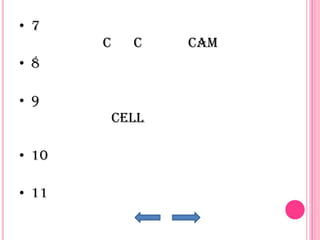 • 7
       C     C    CAM
• 8

• 9
           cell

• 10

• 11
 