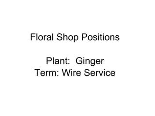 Floral Shop Positions Plant:  Ginger Term: Wire Service 