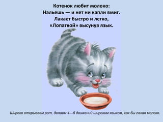 Котенок любит молоко:
Нальешь — и нет ни капли вмиг.
Лакает быстро и легко,
«Лопаткой» высунув язык.

Широко открываем рот, делаем 4—5 движений широким языком, как бы лакая молоко.

 