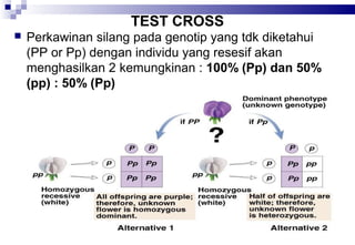 TEST CROSS


Perkawinan silang pada genotip yang tdk diketahui
(PP or Pp) dengan individu yang resesif akan
menghasilkan 2 kemungkinan : 100% (Pp) dan 50%
(pp) : 50% (Pp)

 