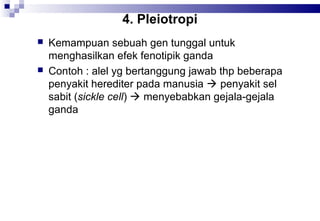 4. Pleiotropi




Kemampuan sebuah gen tunggal untuk
menghasilkan efek fenotipik ganda
Contoh : alel yg bertanggung jawab thp beberapa
penyakit herediter pada manusia  penyakit sel
sabit (sickle cell)  menyebabkan gejala-gejala
ganda

 