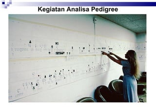 Kegiatan Analisa Pedigree

 
