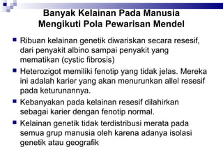 Banyak Kelainan Pada Manusia
Mengikuti Pola Pewarisan Mendel








Ribuan kelainan genetik diwariskan secara resesif,
dari penyakit albino sampai penyakit yang
mematikan (cystic fibrosis)
Heterozigot memiliki fenotip yang tidak jelas. Mereka
ini adalah karier yang akan menurunkan allel resesif
pada keturunannya.
Kebanyakan pada kelainan resesif dilahirkan
sebagai karier dengan fenotip normal.
Kelainan genetik tidak terdistribusi merata pada
semua grup manusia oleh karena adanya isolasi
genetik atau geografik

 