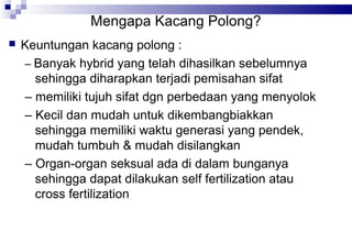 Mengapa Kacang Polong?


Keuntungan kacang polong :
– Banyak hybrid yang telah dihasilkan sebelumnya
sehingga diharapkan terjadi pemisahan sifat
– memiliki tujuh sifat dgn perbedaan yang menyolok
– Kecil dan mudah untuk dikembangbiakkan
sehingga memiliki waktu generasi yang pendek,
mudah tumbuh & mudah disilangkan
– Organ-organ seksual ada di dalam bunganya
sehingga dapat dilakukan self fertilization atau
cross fertilization

 