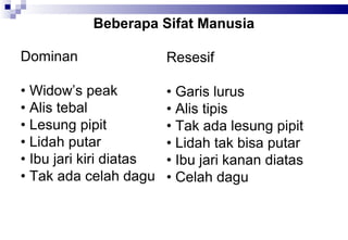 Beberapa Sifat Manusia
Dominan

Resesif

• Widow’s peak
• Alis tebal
• Lesung pipit
• Lidah putar
• Ibu jari kiri diatas
• Tak ada celah dagu

• Garis lurus
• Alis tipis
• Tak ada lesung pipit
• Lidah tak bisa putar
• Ibu jari kanan diatas
• Celah dagu

 