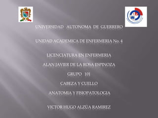 UNIVERSIDAD AUTONOMA DE GUERRERO

UNIDAD ACADEMICA DE ENFERMERIA No. 4
LICENCIATURA EN ENFERMERIA
ALAN JAVIER DE LA ROSA ESPINOZA
GRUPO 101
CABEZA Y CUELLO

ANATOMIA Y FISIOPATOLOGIA
VICTOR HUGO ALZÚA RAMIREZ

 