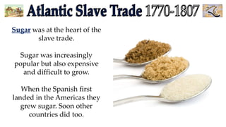 Sugar was at the heart of the
slave trade.
Sugar was increasingly
popular but also expensive
and difficult to grow.
When the Spanish first
landed in the Americas they
grew sugar. Soon other
countries did too.