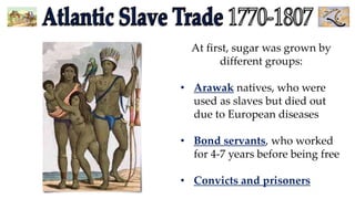 At first, sugar was grown by
different groups:
• Arawak natives, who were
used as slaves but died out
due to European diseases
• Bond servants, who worked
for 4-7 years before being free
• Convicts and prisoners
