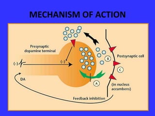 MECHANISM OF ACTION

 