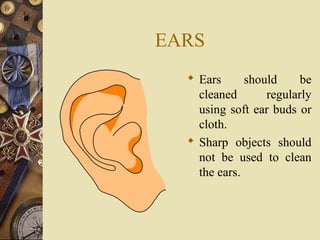 EARS
 Ears
should
be
cleaned
regularly
using soft ear buds or
cloth.
 Sharp objects should
not be used to clean
the ears.

 