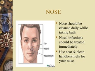 NOSE
 Nose should be
cleaned daily while
taking bath.
 Nasal infections
should be treated
immediately.
 Use neat & clean
handkerchiefs for
your nose.

 