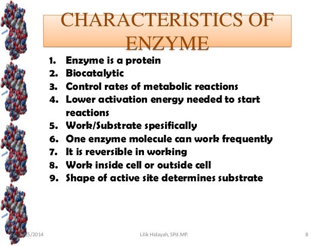 characteristics of enzymes