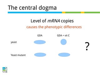 The central dogma
Level of mRNA copies
causes the phenotypic differences
GDA
yeast

Yeast mutant

GDA + vit C

?

 