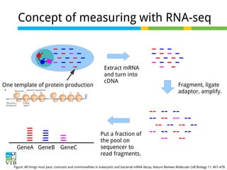 Concept of measuring with RNA-seq

One template of protein production

GeneA GeneB GeneC

Extract mRNA
and turn into
cDNA

Fragment, ligate
adaptor, amplify.

Put a fraction of
the pool on
sequencer to
read fragments.

Figure: All things must pass: contrasts and commonalities in eukaryotic and bacterial mRNA decay, Nature Reviews Molecular Cell Biology 11, 467–478

 