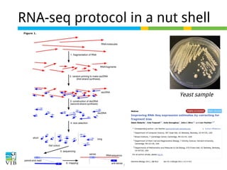 RNA-seq protocol in a nut shell

Yeast sample

 