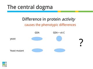 The central dogma
Difference in protein activity
causes the phenotypic differences
GDA
yeast

Yeast mutant

GDA + vit C

?

 