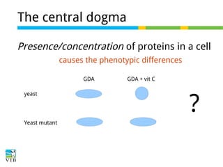 The central dogma
Presence/concentration of proteins in a cell
causes the phenotypic differences
GDA
yeast

Yeast mutant

GDA + vit C

?

 