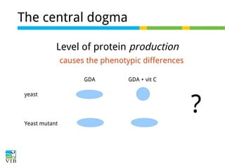 The central dogma
Level of protein production
causes the phenotypic differences
GDA
yeast

Yeast mutant

GDA + vit C

?

 