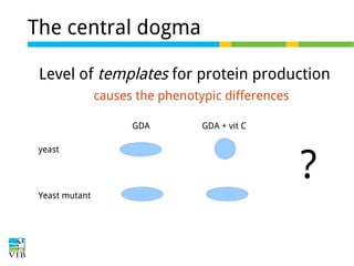 The central dogma
Level of templates for protein production
causes the phenotypic differences
GDA
yeast

Yeast mutant

GDA + vit C

?

 