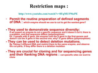 Restriction maps :
http://www.youtube.com/watch?v=8FqMUF96cPE

- Permit the routine preparation of defined segments
of DNA : which enzyme should we use to cut to get the wanted gene?
- They used to demonstrate sequence diversity:

If we expect an enzyme to cut a specific sequence and it doesn’t cut it, there is
a problem, and that sequence differs (polymorphism)
Ex. 2 people with X gene, the enzyme cuts the X gene in the first person and
doesn’t cut the X gene in the second one, why? X gene differs (polymorphism)

- They can be used to detect deletion mutations.

By Taking 2 different DNA and restrict them to the same enzyme, and observe
the cut parts, if they differ there is a deletion mutation

- They are crucial for cloning and for sequencing genes
and their flanking DNA regions : cut specefic sites we want to
clone

 