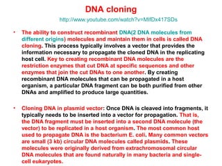 DNA cloning
http://www.youtube.com/watch?v=MIfDx417SDs
•

The ability to construct recombinant DNA(2 DNA molecules from
different origins) molecules and maintain them in cells is called DNA
cloning. This process typically involves a vector that provides the
information necessary to propagate the cloned DNA in the replicating
host cell. Key to creating recombinant DNA molecules are the
restriction enzymes that cut DNA at specific sequences and other
enzymes that join the cut DNAs to one another. By creating
recombinant DNA molecules that can be propagated in a host
organism, a particular DNA fragment can be both purified from other
DNAs and amplified to produce large quantities.

•

Cloning DNA in plasmid vector: Once DNA is cleaved into fragments, it
typically needs to be inserted into a vector for propagation. That is,
the DNA fragment must be inserted into a second DNA molecule (the
vector) to be replicated in a host organism. The most common host
used to propagate DNA is the bacterium E. coli. Many common vectors
are small (3 kb) circular DNA molecules called plasmids. These
molecules were originally derived from extrachromosomal circular
DNA molecules that are found naturally in many bacteria and singlecell eukaryotes.

 