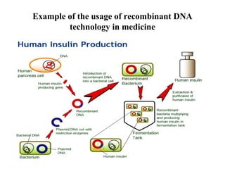Example of the usage of recombinant DNA
technology in medicine

 