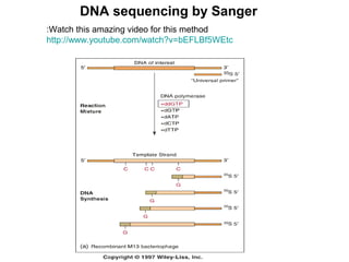 DNA sequencing by Sanger
 :Watch this amazing video for this method
 http://www.youtube.com/watch?v=bEFLBf5WEtc

 