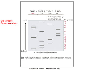 Up largest
Down smallest

 