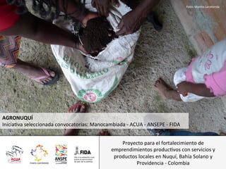 Foto:	
  Manlio	
  Larotonda	
  

AGRONUQUÍ	
  	
  
Inicia9va	
  seleccionada	
  convocatorias:	
  Manocambiada	
  -­‐	
  ACUA	
  -­‐	
  ANSEPE	
  -­‐	
  FIDA	
  
Proyecto	
  para	
  el	
  fortalecimiento	
  de	
  
emprendimientos	
  produc9vos	
  con	
  servicios	
  y	
  
productos	
  locales	
  en	
  Nuquí,	
  Bahía	
  Solano	
  y	
  
Providencia	
  -­‐	
  Colombia	
  

 
