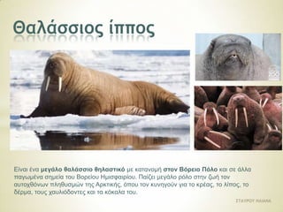 Ζουν στην Τούνδρα και τους Πόλους της Γης | PPT