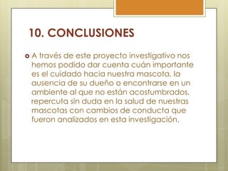 10. CONCLUSIONES
A

través de este proyecto investigativo nos
hemos podido dar cuenta cuán importante
es el cuidado hacia nuestra mascota, la
ausencia de su dueño o encontrarse en un
ambiente al que no están acostumbrados,
repercuta sin duda en la salud de nuestras
mascotas con cambios de conducta que
fueron analizados en esta investigación.

 