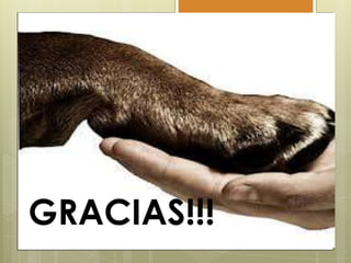 GRACIAS!!!

 