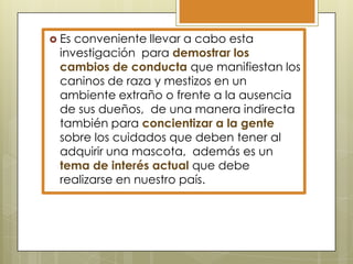  Es

conveniente llevar a cabo esta
investigación para demostrar los
cambios de conducta que manifiestan los
caninos de raza y mestizos en un
ambiente extraño o frente a la ausencia
de sus dueños, de una manera indirecta
también para concientizar a la gente
sobre los cuidados que deben tener al
adquirir una mascota, además es un
tema de interés actual que debe
realizarse en nuestro país.

 