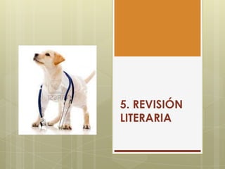 5. REVISIÓN
LITERARIA

 