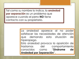 Tal como su nombre lo indica, la ansiedad
por separación es un problema que
aparece cuando el perro NO tiene
contacto con su propietario.

La ansiedad aparece al no poder
satisfacer las necesidades de atención
que demanda esta situación de
hiperapego.
Esta ansiedad provoca la aparición de
trastornos
del
comportamiento
conocidos
como
“Síndrome
de
Ansiedad por Separación”.

 