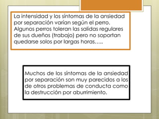 La intensidad y los síntomas de la ansiedad
por separación varían según el perro.
Algunos perros toleran las salidas regulares
de sus dueños (trabajo) pero no soportan
quedarse solos por largas horas…..

Muchos de los síntomas de la ansiedad
por separación son muy parecidos a los
de otros problemas de conducta como
la destrucción por aburrimiento.

 