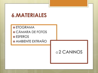 6.MATERIALES
 ETOGRAMA
 CÁMARA

DE FOTOS

 ESFEROS
 AMBIENTE

EXTRAÑO

o 2 CANINOS

 