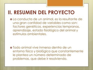II. RESUMEN DEL PROYECTO
 La

conducta de un animal, es la resultante de
una gran cantidad de variables como son:
factores genéticos, experiencias tempranas,
aprendizaje, estado fisiológico del animal y
estímulos ambientales.

 Todo

animal vive inmerso dentro de un
entorno físico y biológico que constantemente
le plantea un número determinado de
problemas, que debe ir resolviendo.

 