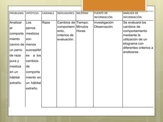 PROBLEMA HIPÓTESIS

VARIABLE

INDICADORES MEDIDAS

FUENTE DE
INFORMACIÓN

ANÁLISIS DE
INFORMACIÓN

Analizar

Los

Raza

el

perros

Cambios de Tiempo:
comportami Minutos
ento,
Horas
criterios de
evaluación.

Investigación
Observación

Se evaluará los
cambios de
comportamiento
mediante la
utilización de un
etograma con
diferentes criterios a
analizarse.

comporta mestizos
miento

son

canino de menos
un perro

susceptibl

de raza

es

pura y

cambios

mestiza

de

en un

comporta

hábitat

miento en

extraño.

un hábitat

a los

extraño.

 