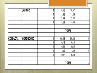 LADRIDO

1
1
1
1

10:56
11:38
12:33
14:29

10:57
11:39
12:34
14:30
TOTAL

CONDUCTA

MORDISQUEO

1
1
1
1
1

09:23
10:15
10:54
11:20
16:27

09:23
10:16
10:55
11:20
16:28
TOTAL

1
1
1
1
4
0
1
1
0
1
3

 