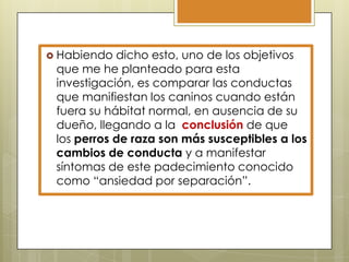  Habiendo

dicho esto, uno de los objetivos
que me he planteado para esta
investigación, es comparar las conductas
que manifiestan los caninos cuando están
fuera su hábitat normal, en ausencia de su
dueño, llegando a la conclusión de que
los perros de raza son más susceptibles a los
cambios de conducta y a manifestar
síntomas de este padecimiento conocido
como “ansiedad por separación”.

 