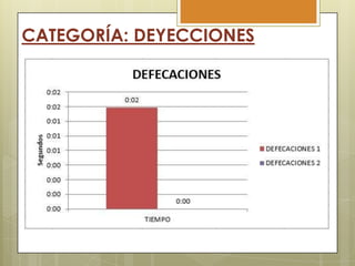 CATEGORÍA: DEYECCIONES

 