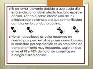  Es

un tema relevante debido a que cada día
está evolucionando el afecto hacia la especie
canina, siendo el sobre afecto uno de los
principales problemas para que se manifiesten
cambios en la conducta canina.

 No

se ha realizado estudios recientes en
nuestro país pero en otros países como España,
la ansiedad por separación es un problema de
comportamiento muy frecuente, sugieren que
entre el 20 y 40% del total de consultas en
etología clínica canina.

 